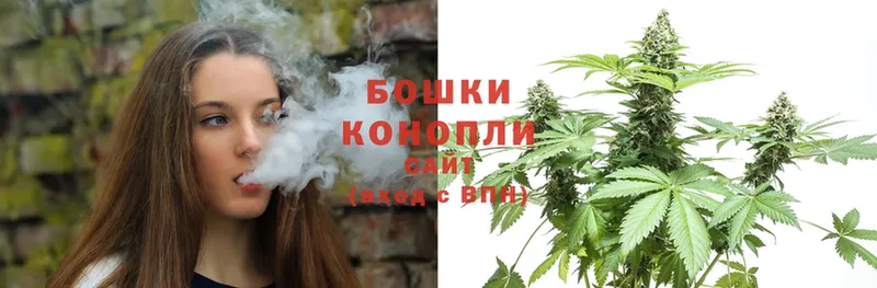 купить наркотик  Правдинск  Шишки марихуана OG Kush 